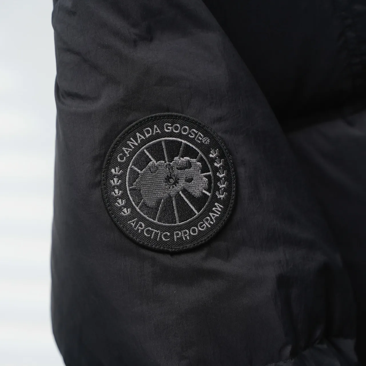 P780 CANADA GOOSE丨Canada Goose 2802 Sleeve Logo Stand Collar Down Jacket Color: Black Black Label Size: XS-XXL